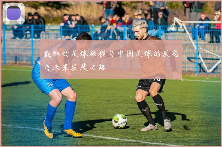 戴琳的足球旅程与中国足球的反思与未来发展之路